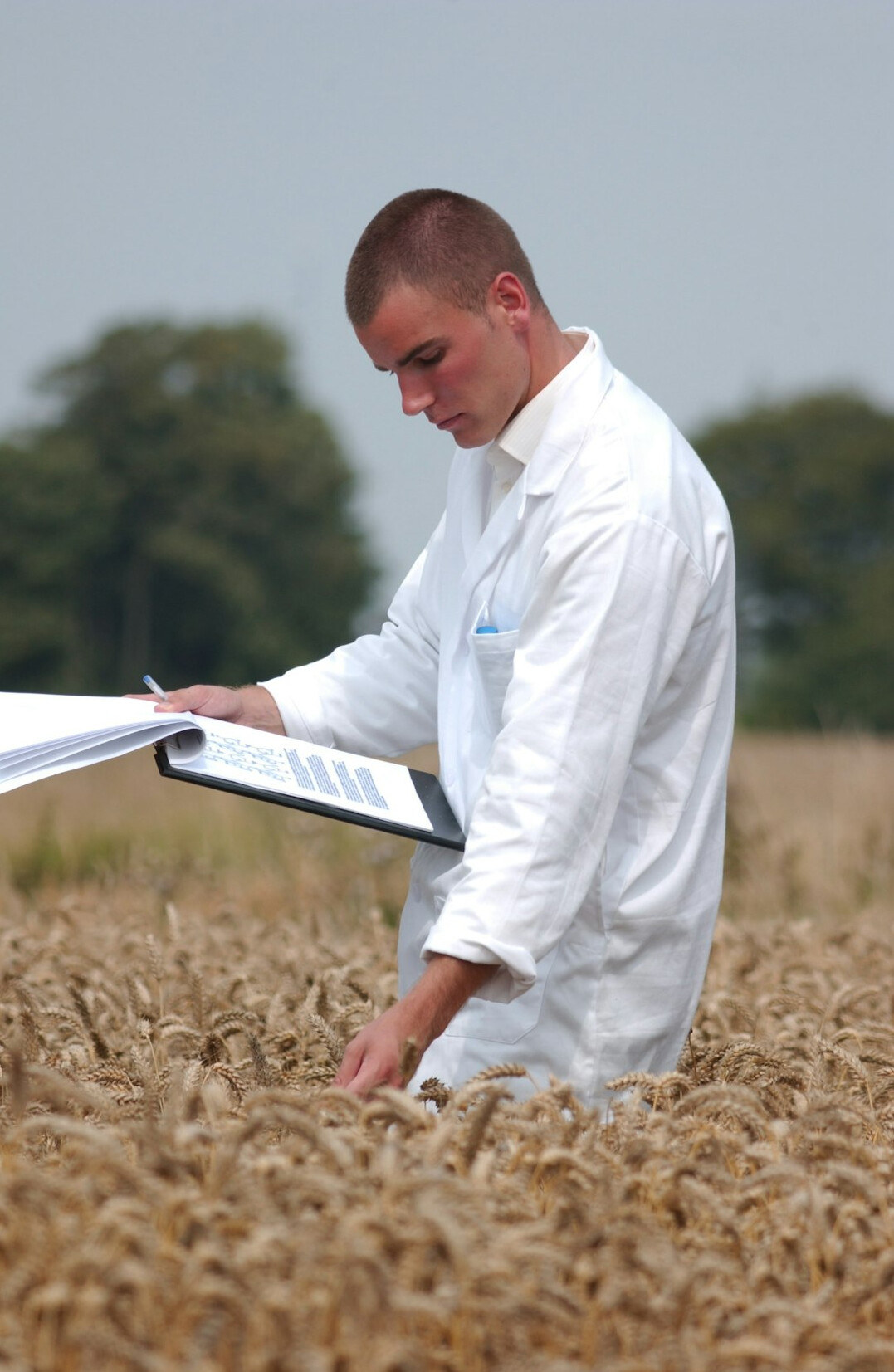 scientist reviewing environmental reports