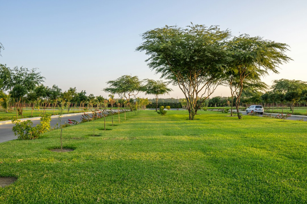 green urban park