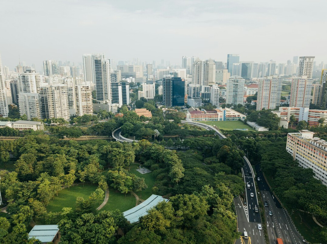 City buildings seen from above with trees
