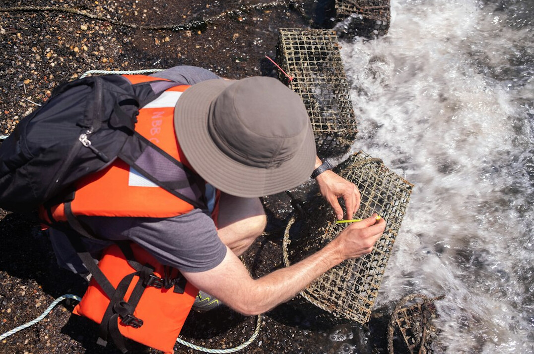 scientists testing water in river