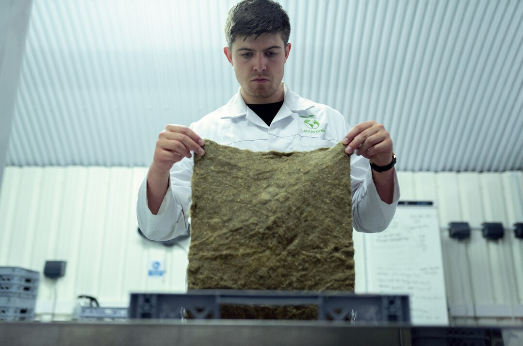 environmental scientist analyzing soil samples